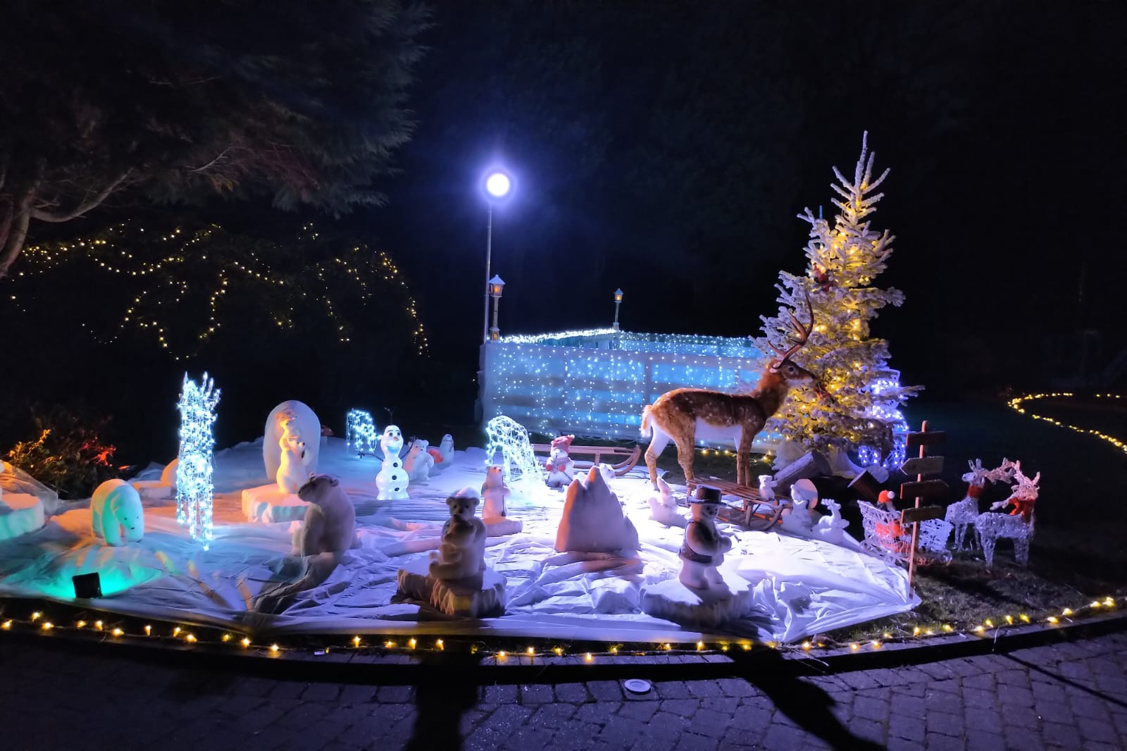 Réalisation Ref 69270636d34c20.08808167 - LENIGHT : organisation, installation, animation de soirée et ambiance club