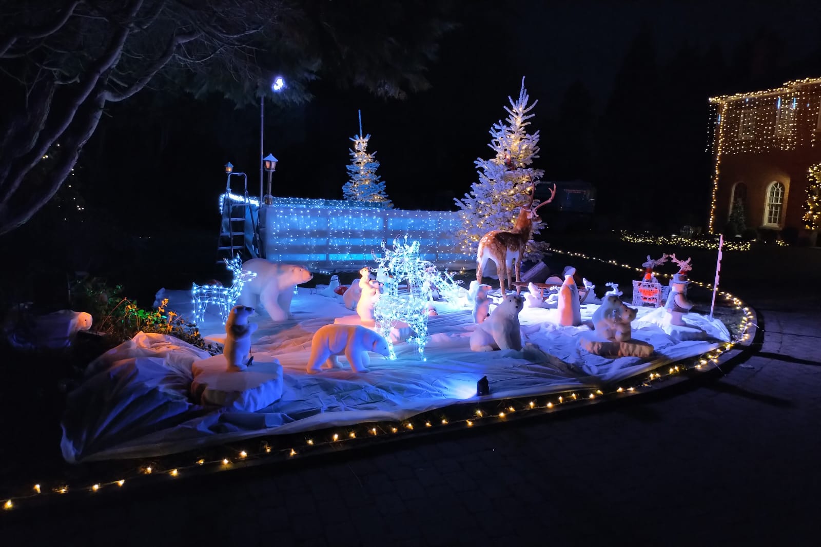 Réalisation Ref 69270636d4cb80.74556663 - LENIGHT : organisation, installation, animation de soirée et ambiance club